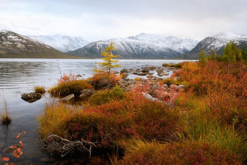 колыма, озеро джека лондона, золотая осень, магаданская область \