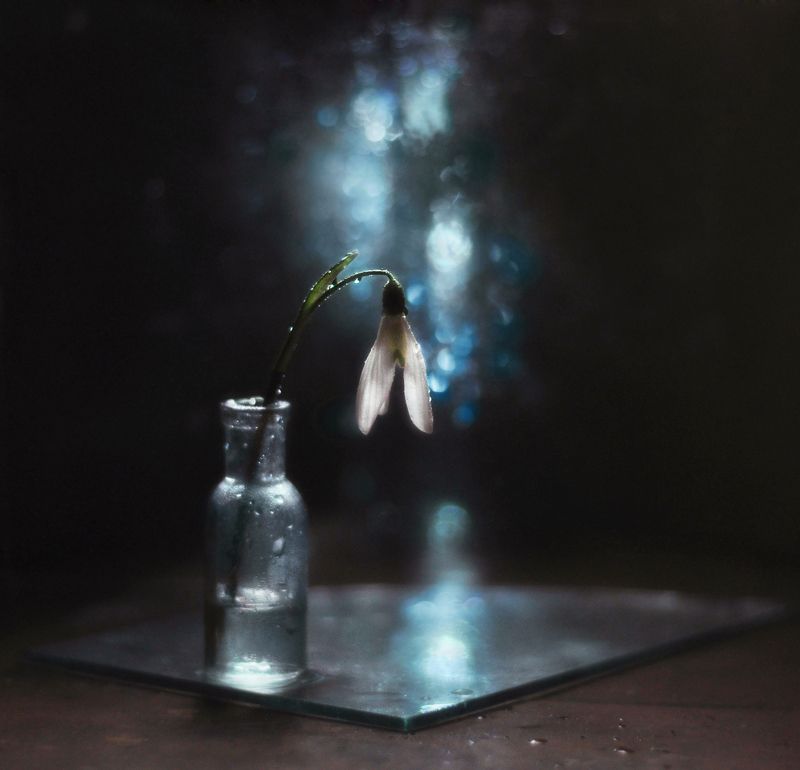 Глубина молчанияphoto preview