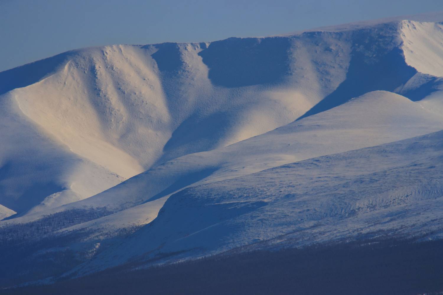 горы, солнце, снег, зима, склоны, сопки, Светлана Холодняк