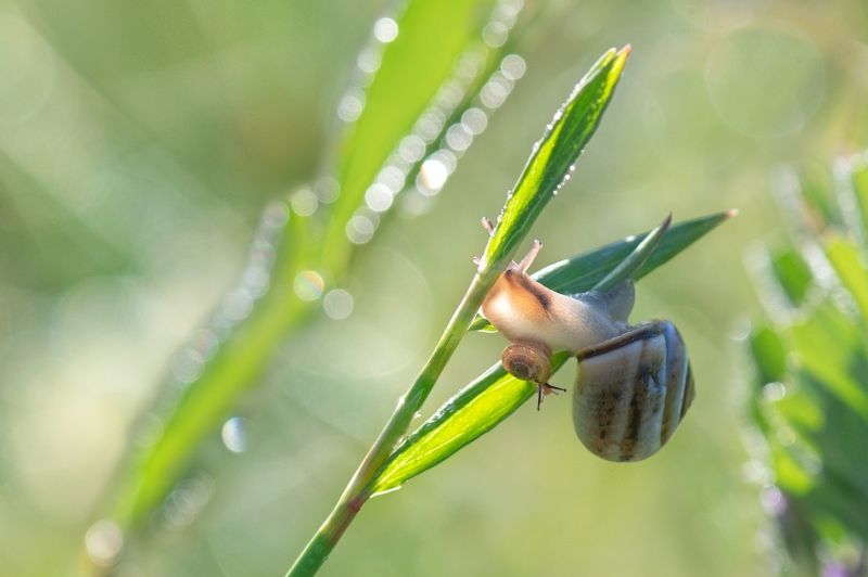 Я покажу тебе весну...photo preview