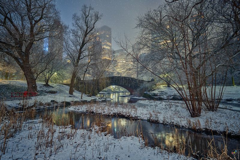 new york, Gapstow Bridge over the Pond, with view of Central Park South buildingsphoto preview