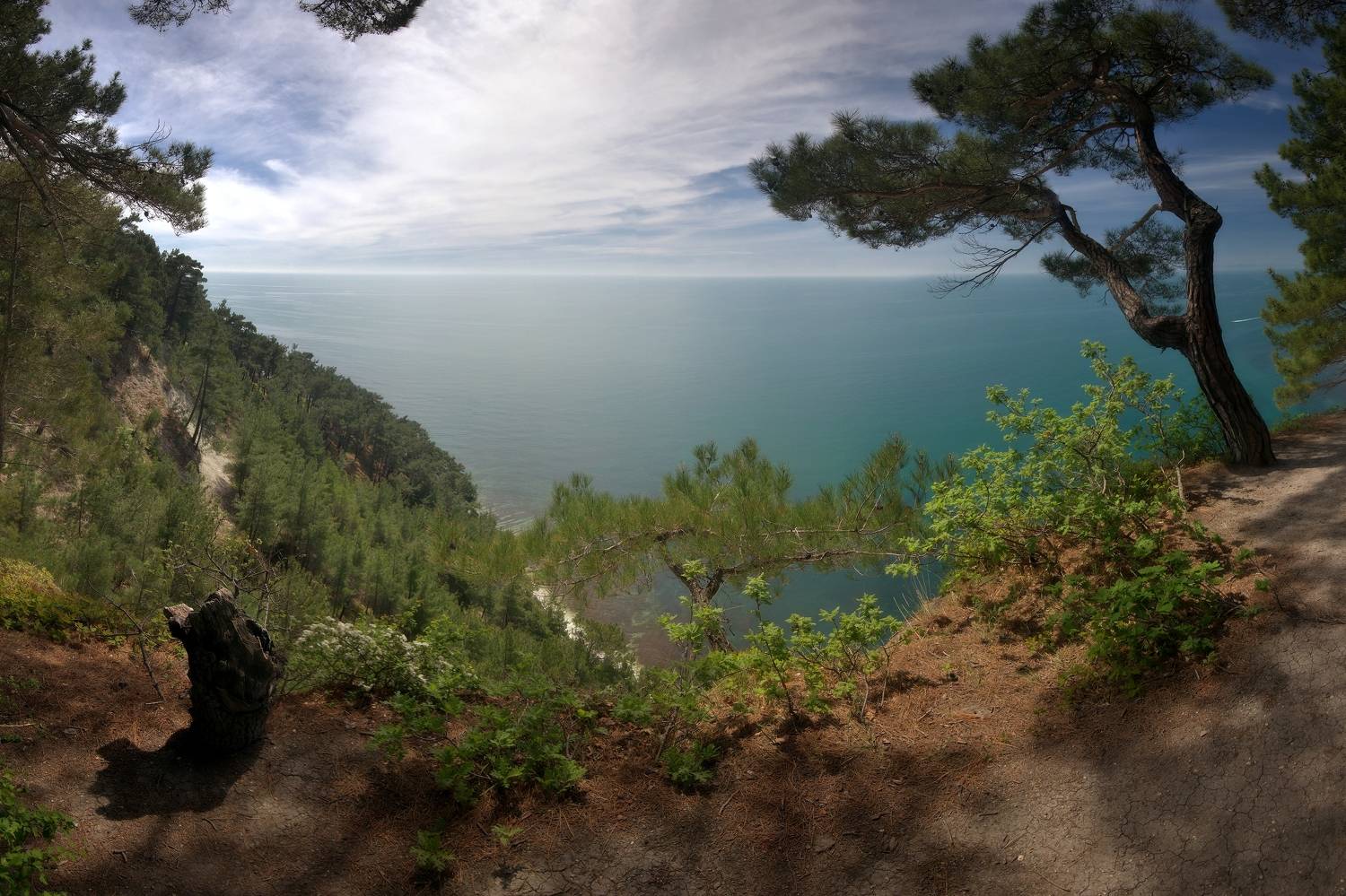 , Алексей Никонов