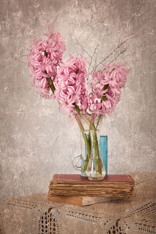 book, books, color, colors, concept, conceptual, digital, digital art, editing, flower, flowers, hyacinth, nature, photography, pink, plant, plants, still life, Гиацинт Натюрморт / Hyacinth Still Lifephoto preview