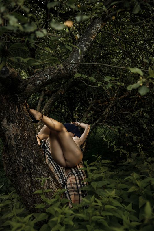 В садуphoto preview