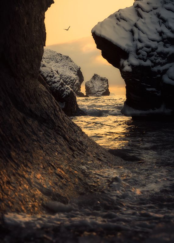 весна, море, скалы, чайка Полёт к веснеphoto preview