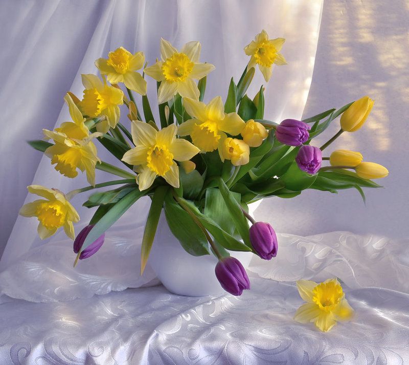 still life,натюрморт,фото натюрморт, весна, март, цветы, нарциссы, тюльпаны Весны счастливые мгновения...photo preview