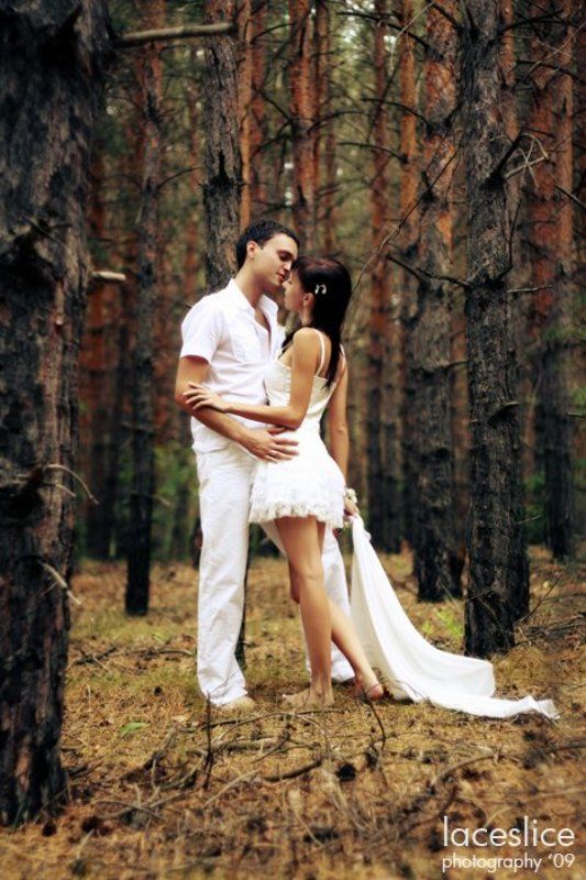 A  Forest Talesphoto preview