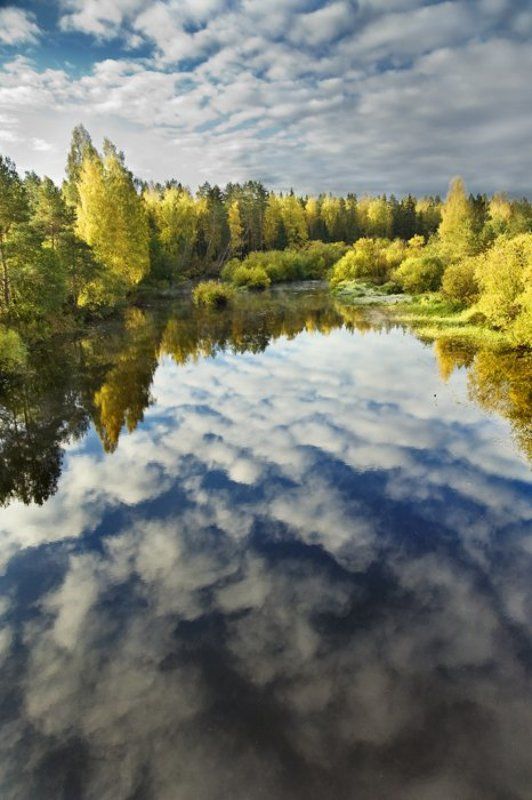 облака,небо,отражение,осень,цвета,вода,река,листва,деревья Краски уходящей осениphoto preview