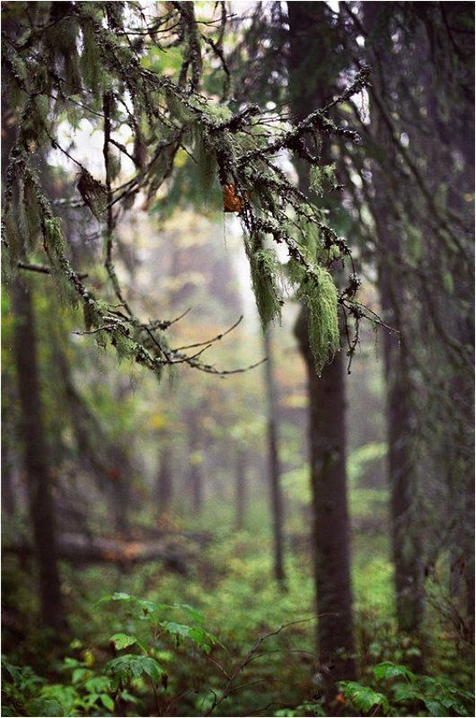 хребет, малый ямантау, южный урал, башкирия Плакала осень фото превью