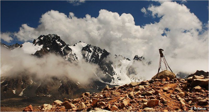 Смотрящийphoto preview