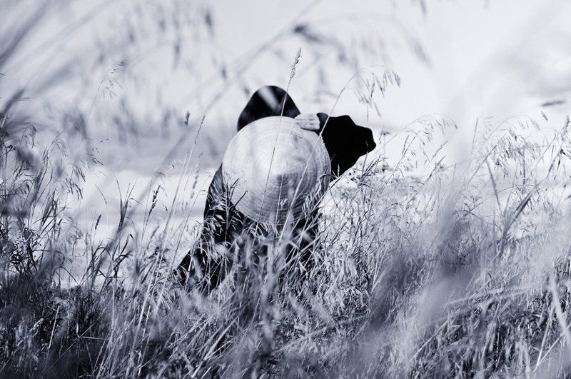 Imagine There\'s no Heavenphoto preview