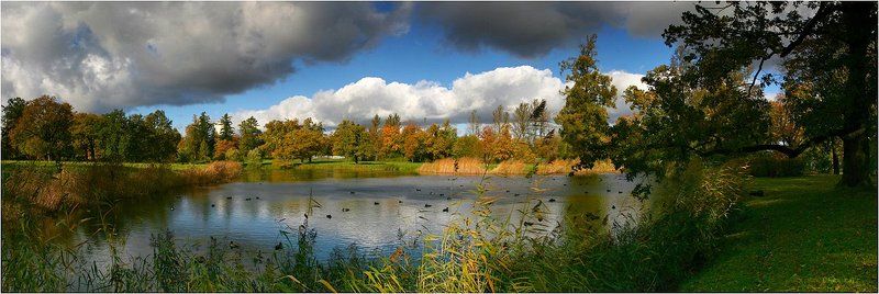 царское, село, парк, , осень, погода, озеро, утки Парковые зарисовкиphoto preview