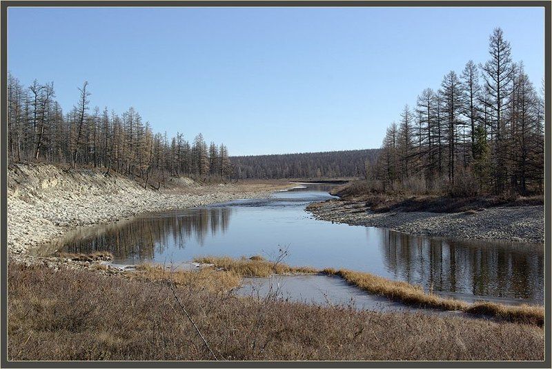 река,тайга,якутия,север,осень Пейзаж поздней осениphoto preview
