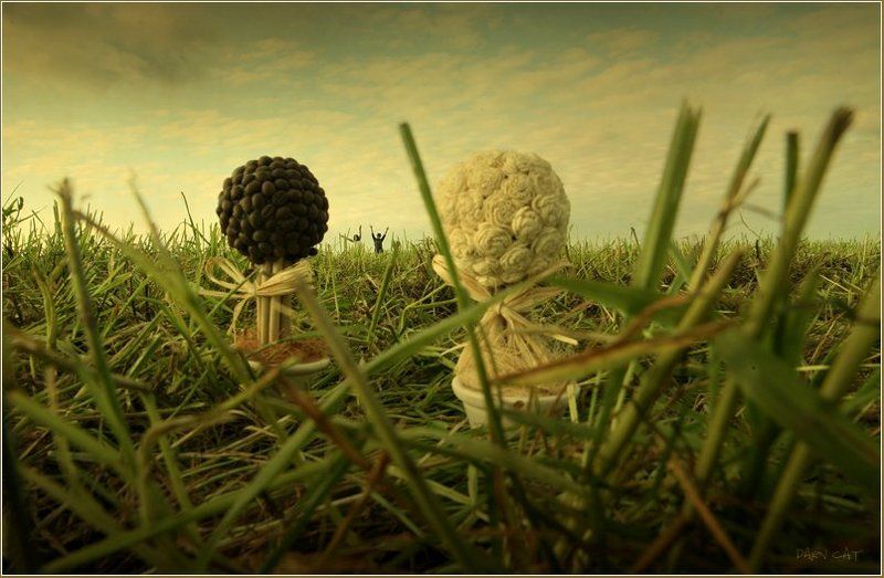 в, стране, лилипутов, деревья, сказка, травка, девушка, юноша В стране лилипутов фото превью