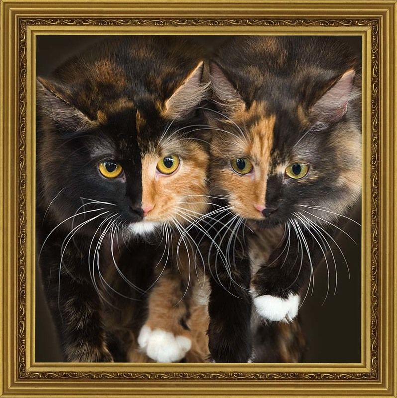 Гляжусь в тебя как в зеркало...photo preview