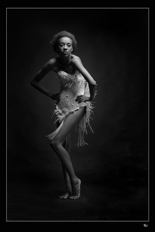 орнтитологи, цапля, птица, студя, портрет, гламур, черно-белое Цапляphoto preview