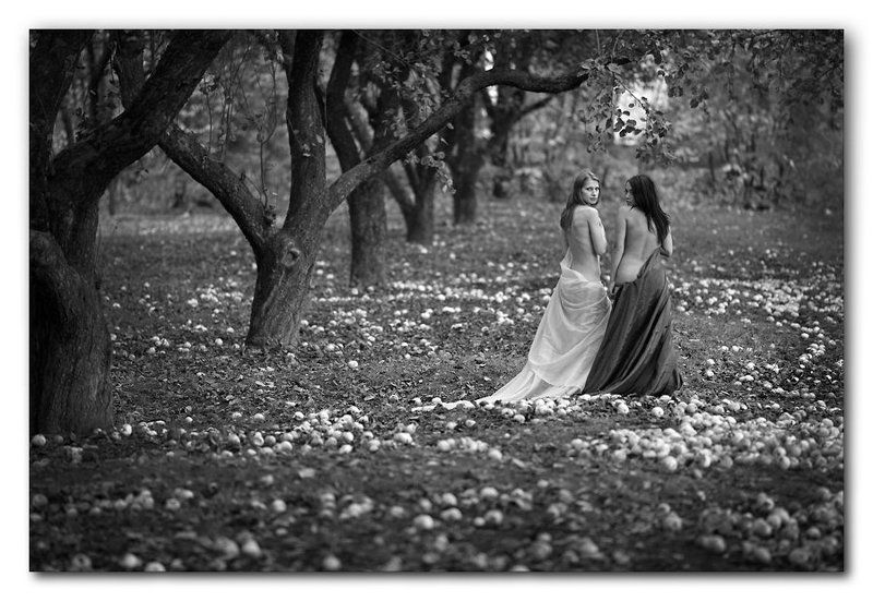 осень, ню, яблоневый сад, яблоки, девушки Яблоневый сад...photo preview