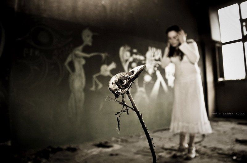 somewhere, once, iron somewhere...once...photo preview