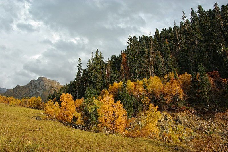 осень,горы Осень... золотая смерть Летаphoto preview