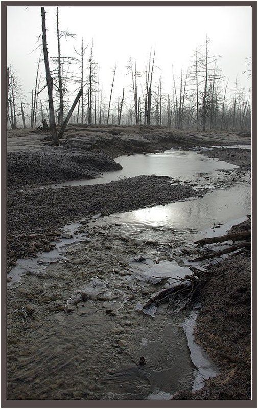 ручей,тайга,предзимье Замерзающий ручейphoto preview