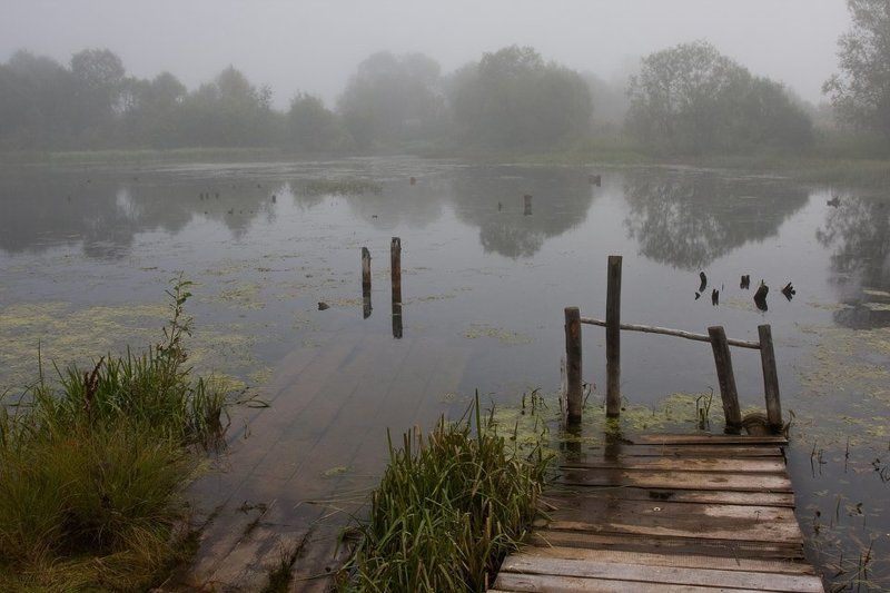 Утро на озереphoto preview