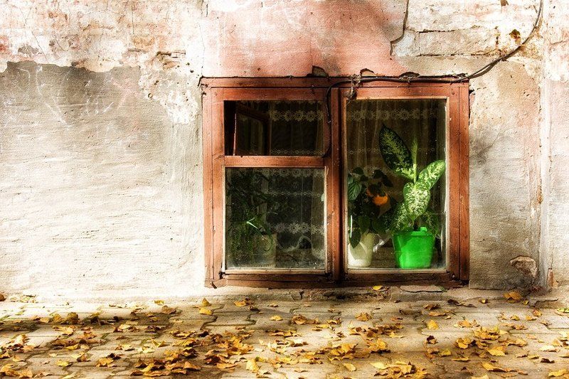 Окно Мастераphoto preview