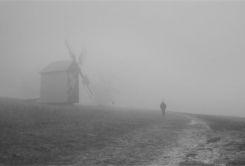 один в поле...photo preview