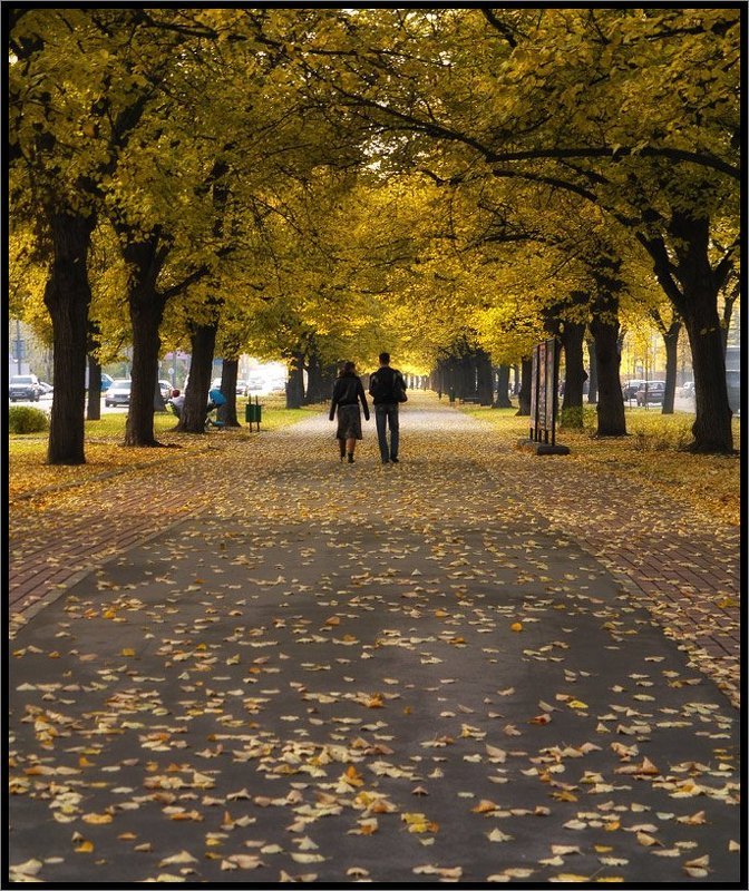 Осенняя зарисовкаphoto preview