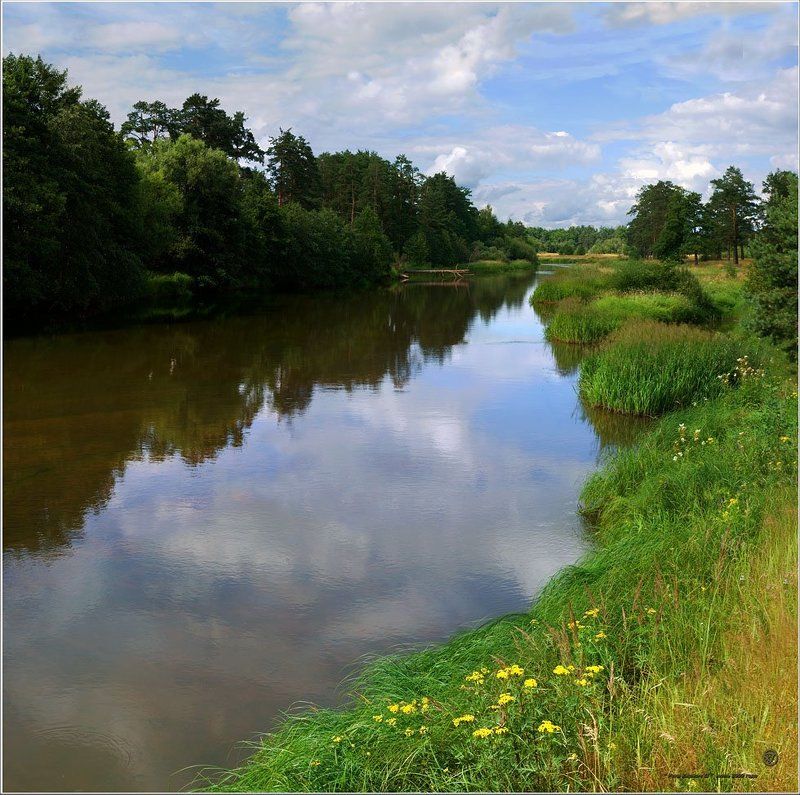 Река Киржач IIphoto preview