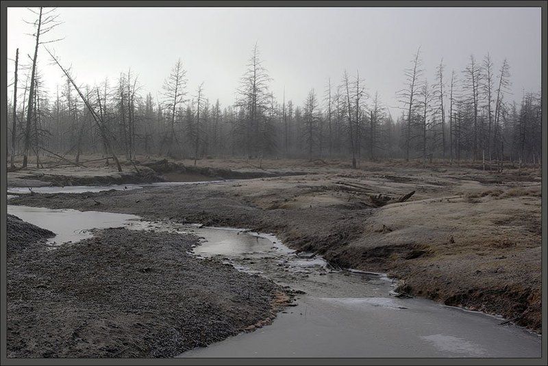 ручей,тайга,предзимье Замерзающий ручей 2photo preview