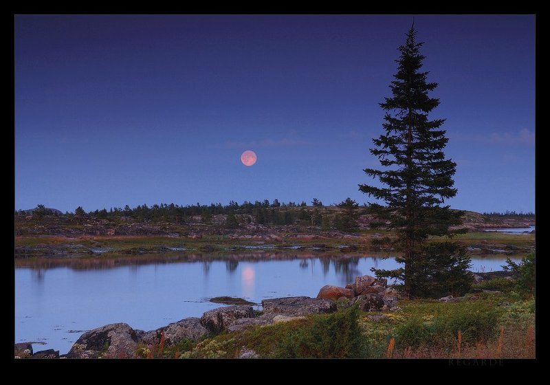 белое море, луна, карелия, закат, вечер, тишина pleine lunephoto preview