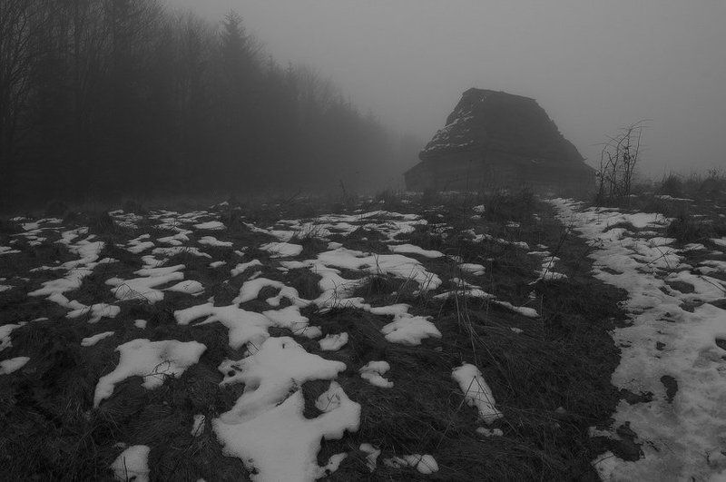 последние потуги зимы... ;))photo preview