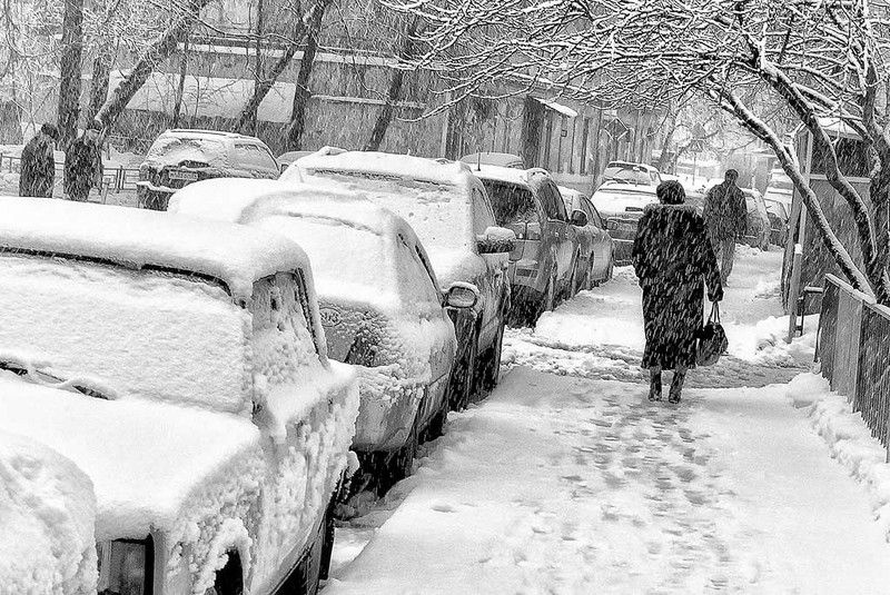 Пастерначноphoto preview