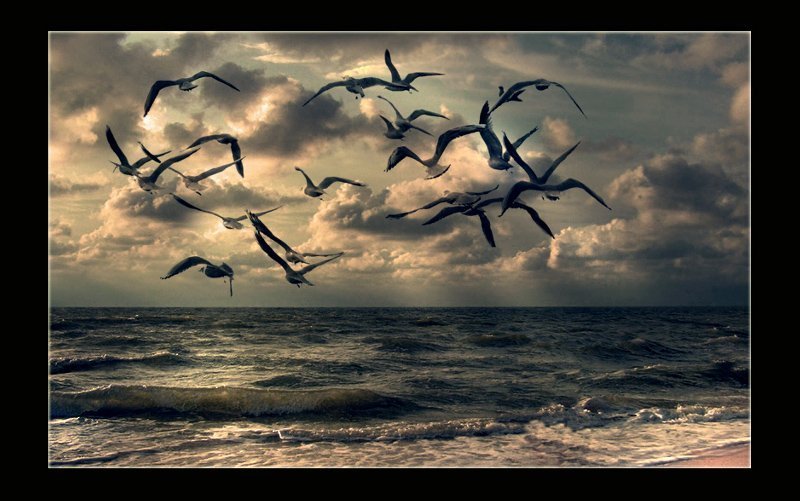 *** И дышать Ею буду век.. *** фото превью