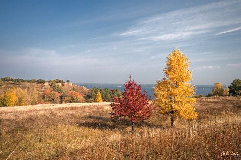 осень, золотая осень Золотаяphoto preview