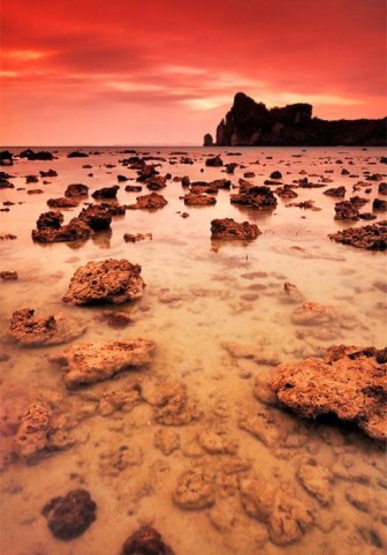 Phi Phi island фото превью