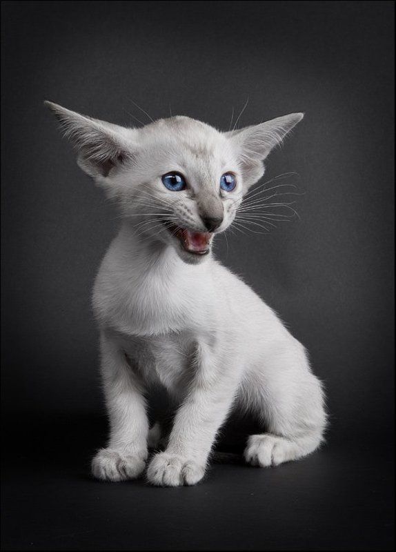 Рекламаphoto preview