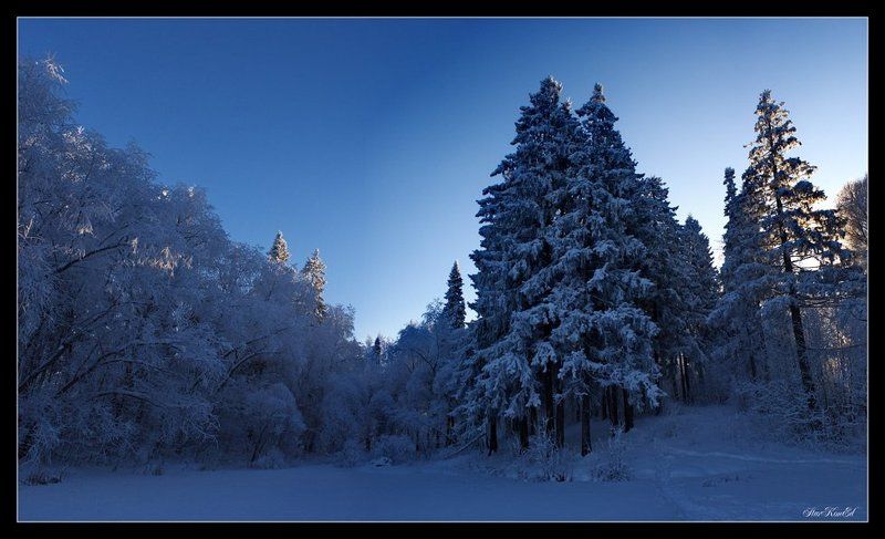 1 залив.photo preview