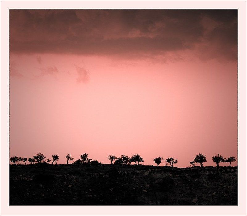 Мир в розовых очках...photo preview