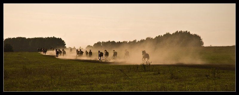 фото ***photo preview