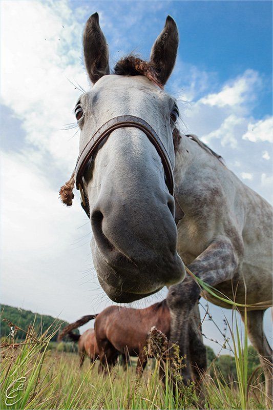 Женя, где ты был?photo preview