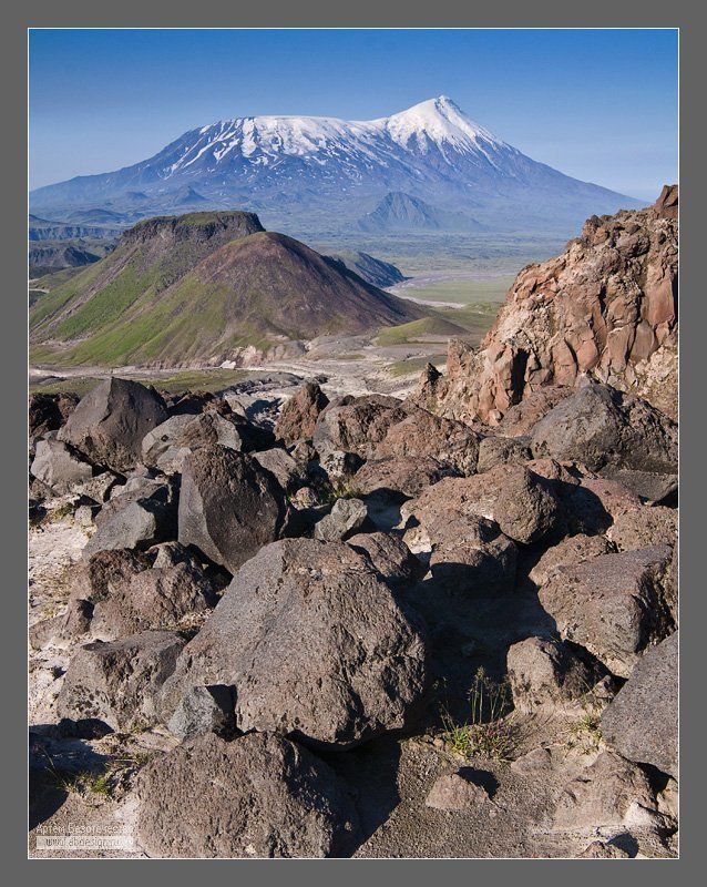 Толбачики со склона вулкана Безымянныйphoto preview