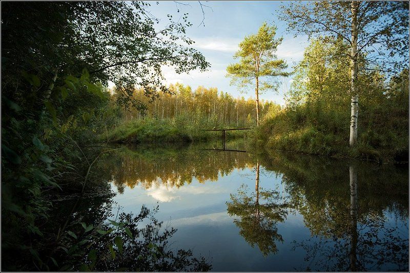 банальный летний пейзажphoto preview