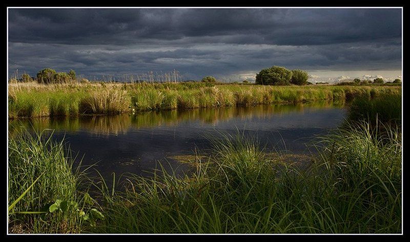 kochkov Ханкайские каналыphoto preview