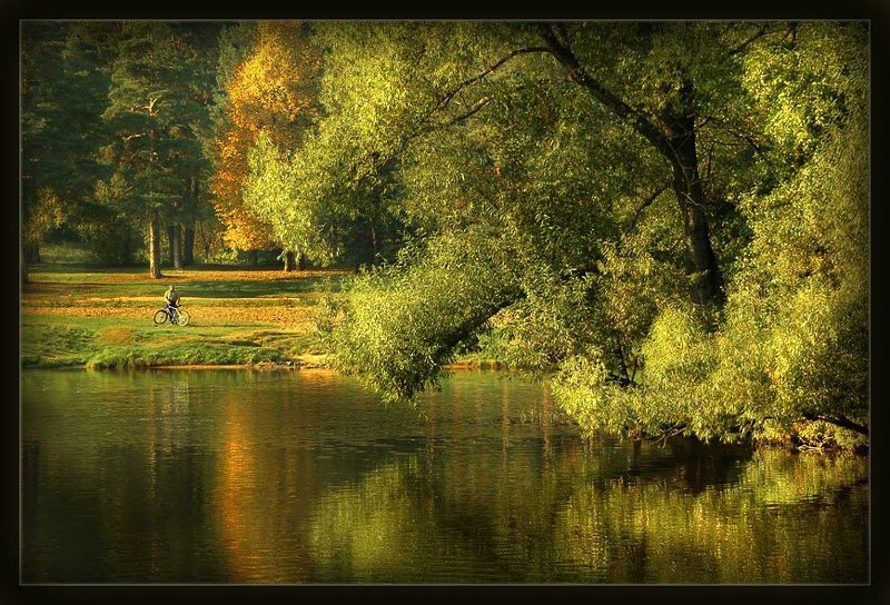 *** Задумчивый велосипедист.. *** фото превью