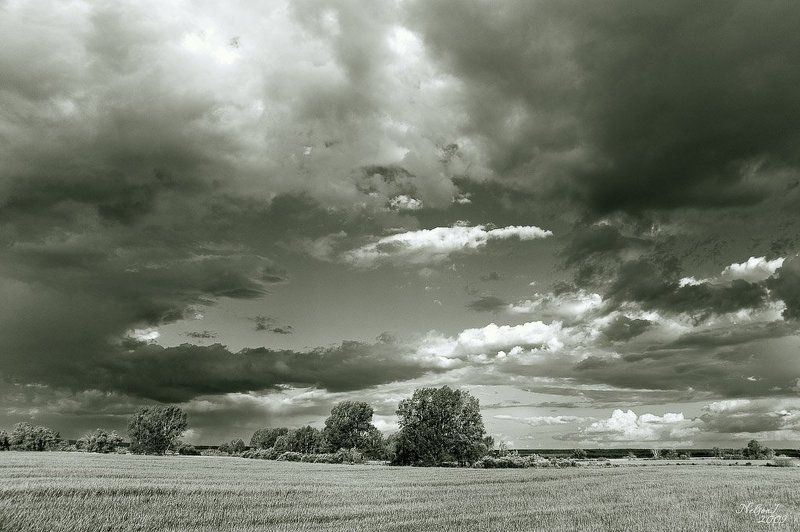 перед дождёмphoto preview