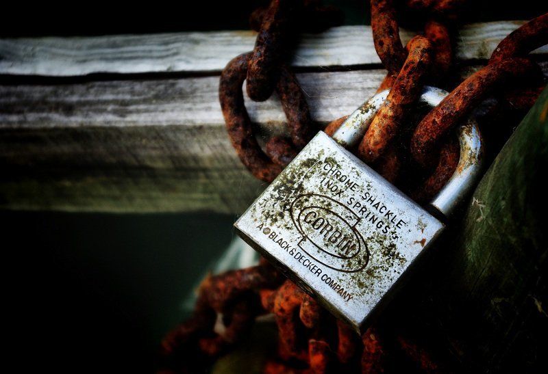 ...zamokphoto preview