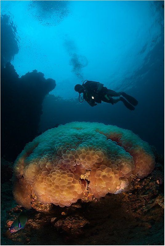 Кладкаphoto preview