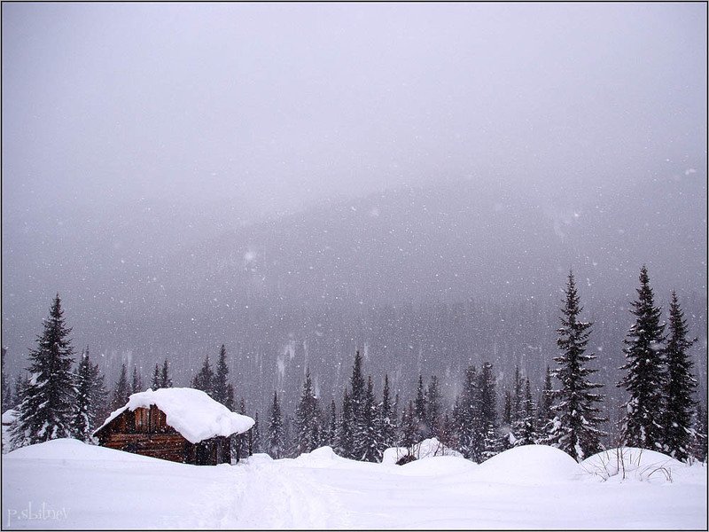 безмолвиеphoto preview