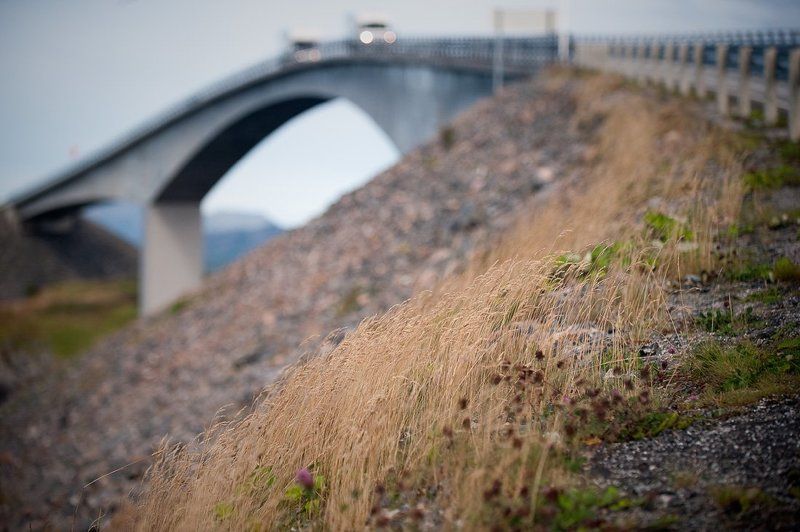 норвегия Ветерокphoto preview